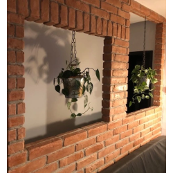 Płytki gipsowe brązowe ułożone na ścianie z kwietnikiem