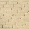 Wzornik kolorów cegły dekoracyjnej, ozdobnej. Kolor: Beżowy.